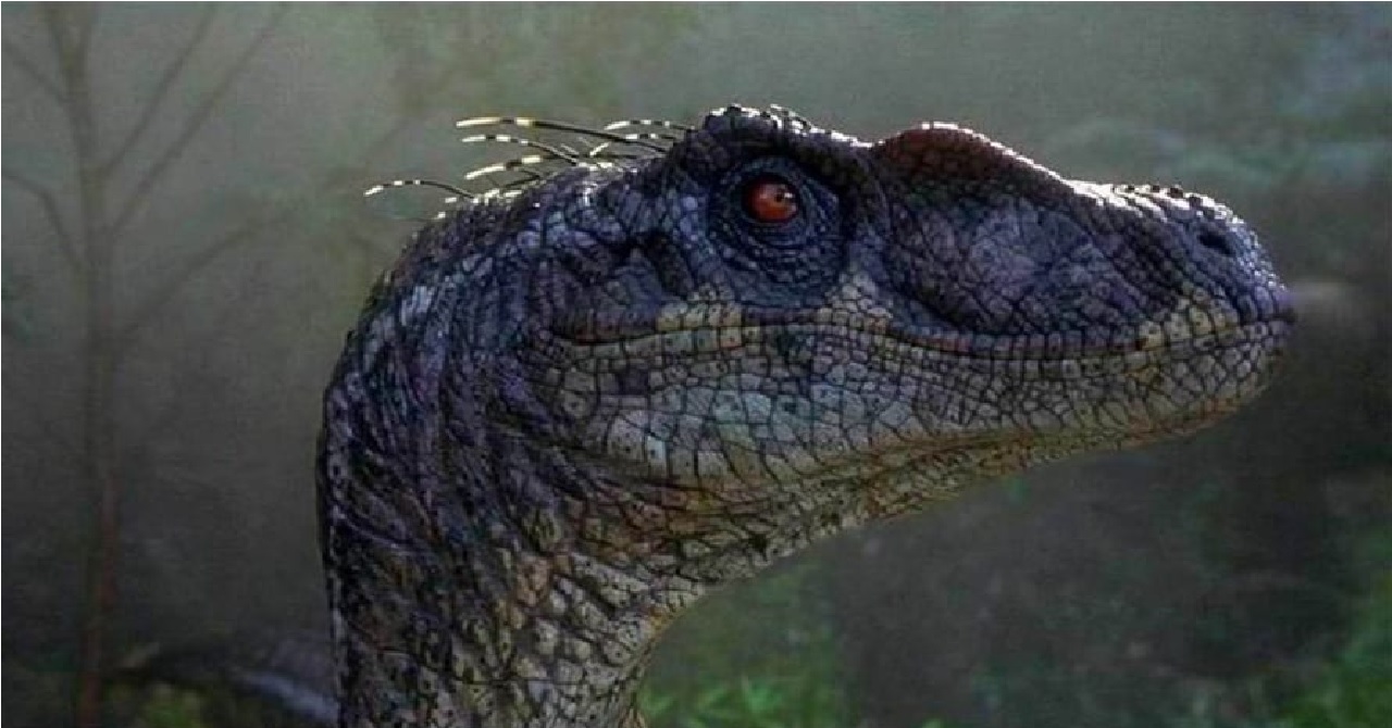 Jurassic World: Dominion revela nova espécie de raptor em foto com Chris Pratt