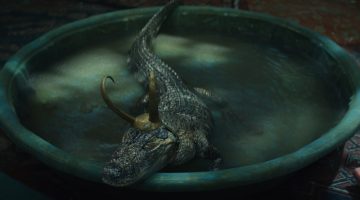 Jacaré que participou de Loki é roubado do dono: ‘animal de apoio emocional’