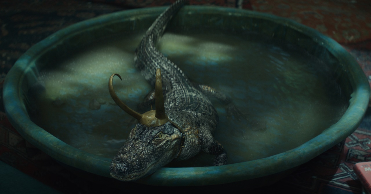 Jacaré que participou de Loki é roubado do dono: ‘animal de apoio emocional’