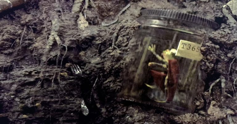 Loki Sapo Thor Throg