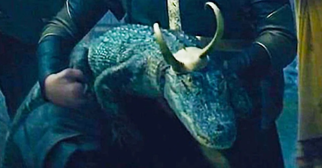 Afinal, a variante reptiliana de Loki é um crocodilo ou um jacaré?