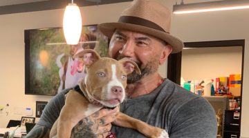 Dave Bautista oferece R$ 34 mil para encontrar agressores de cadelinha resgatada