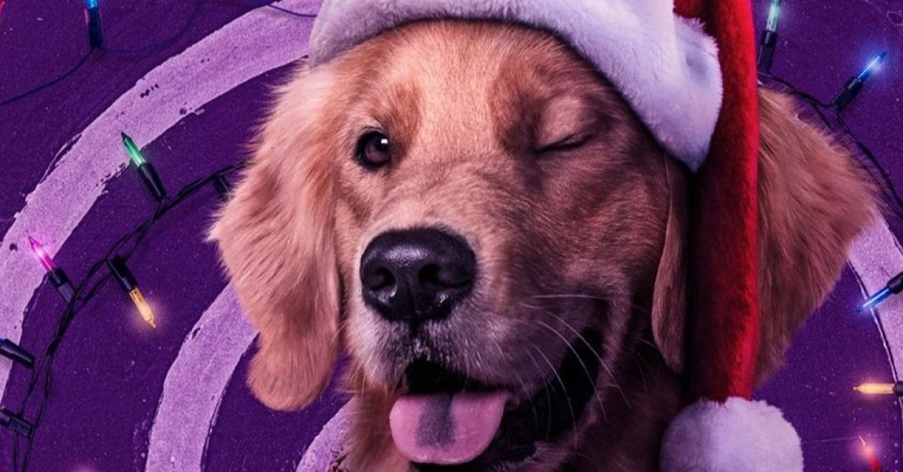 Gavião Arqueiro: ‘atriz’ do Cachorro-Pizza fez todas as cenas de ação – sem CGI!