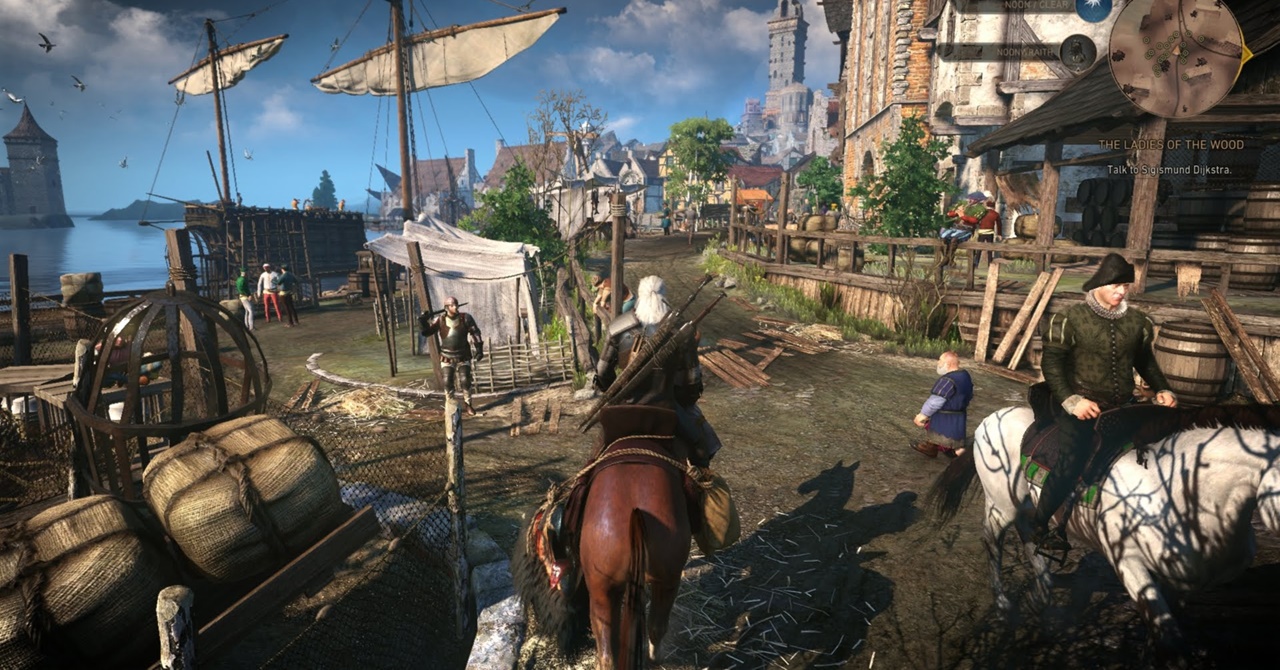 the witcher