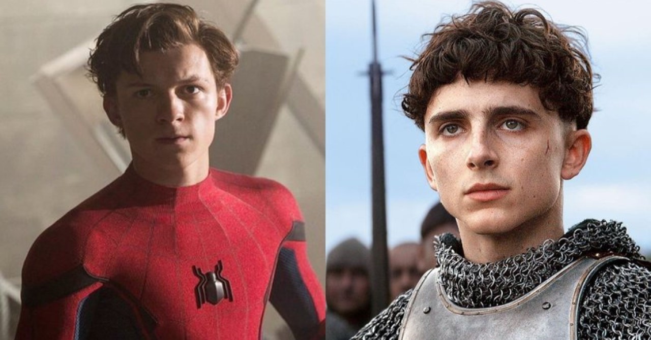 Tom Holland recomenda Timothée Chalamet para papel de Harry Osborn