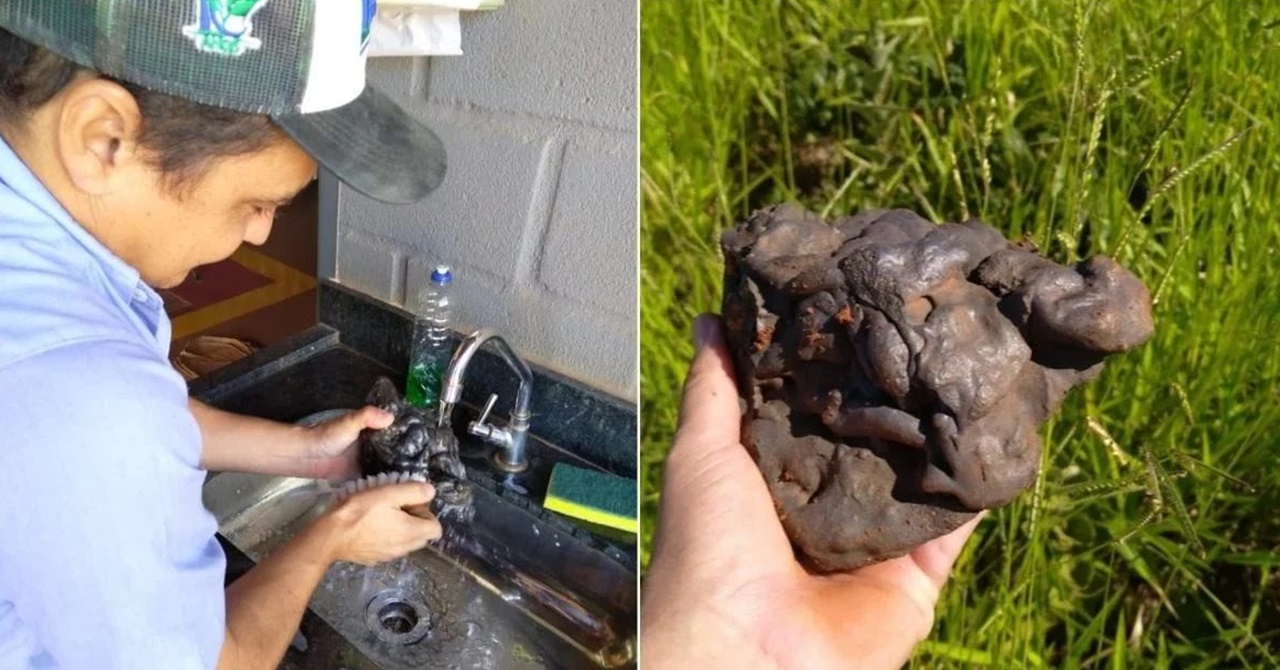 Não Olhe Para Cima: diretor fica sabendo do meteorito lavado com sabão em MG
