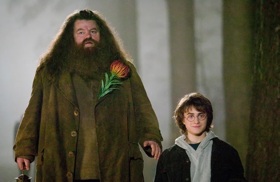 Robbie Coltrane - Hagrid - Harry Potter