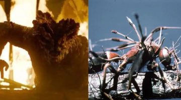 Fungo Cordyceps: o que é real e o que é ficção na pandemia de The Last of Us?