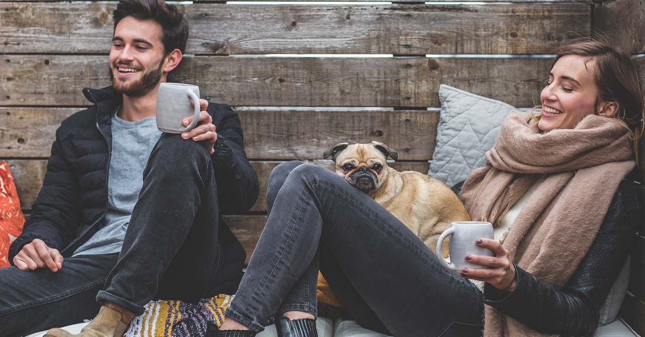 Sabia que algumas séries são melhores para assistir na companhia do seu pet?