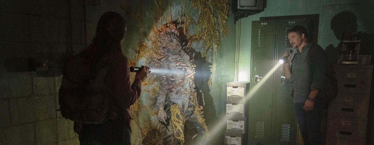 the last of us