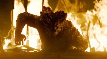 Sabia dessa? Fungo ‘zumbi’ de The Last of Us é real e existe no Brasil