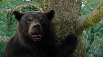 O Urso do Pó Branco: documentário conta a história real que inspirou o filme