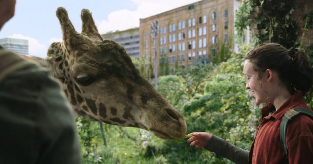 Produtor responde como será a 2ª temporada de The Last of Us