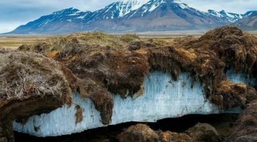Cientistas descongelam ‘vírus zumbi’ com mais de 48 mil anos: ‘preocupante’