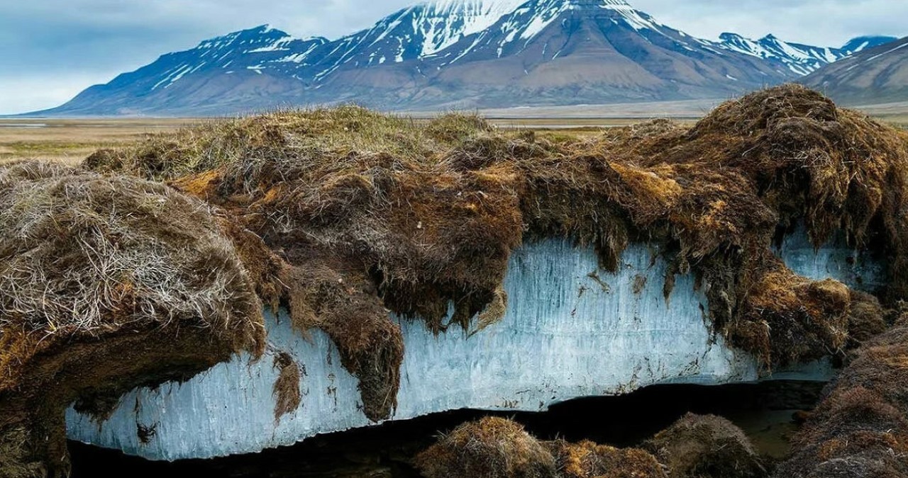Cientistas descongelam ‘vírus zumbi’ com mais de 48 mil anos: ‘preocupante’