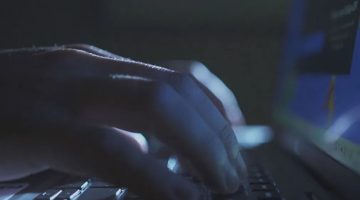 Discord: adolescente tortura e põe fogo em gato durante transmissão ao vivo