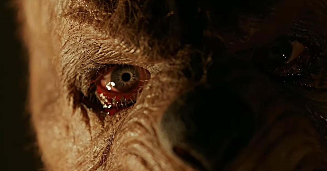 Tigrão, Corujão e MUITO mais sangue: assista ao primeiro trailer de Ursinho Pooh 2