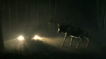 Poohniverse: filme de terror com Bambi sanguinário ganha 1º trailer