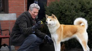 Esses são os animais mais amados da história do cinema