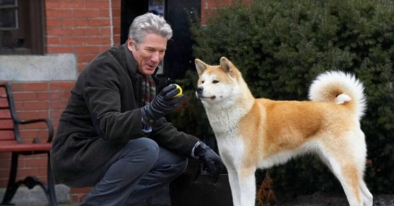 Sempre ao Seu Lado animais