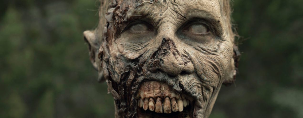 the walking dead