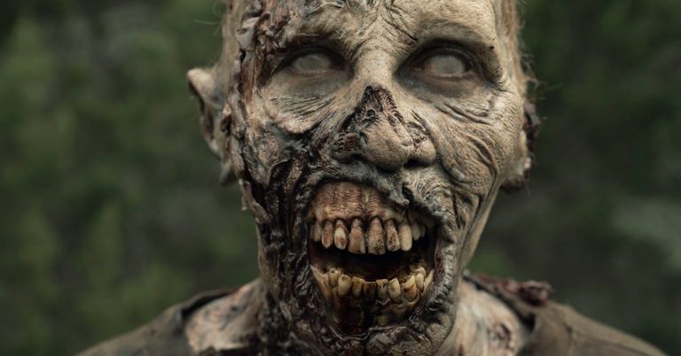the walking dead