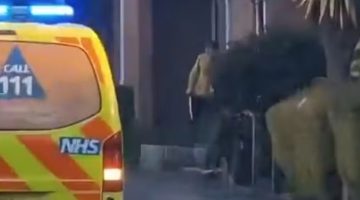 Brasileiro mata adolescente em ataque com espada de samurai em Londres