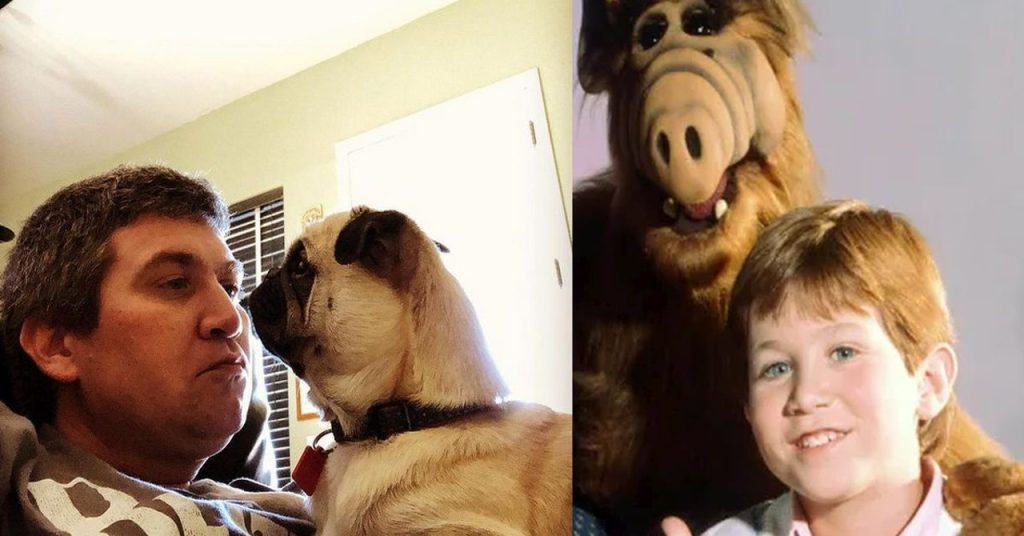 Testemunhas acreditam que astro de Alf, o ETeimoso dormiu no carro: ‘distúrbio do sono’