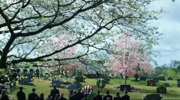 De quem é o funeral visto no trailer de Capitão América 4?