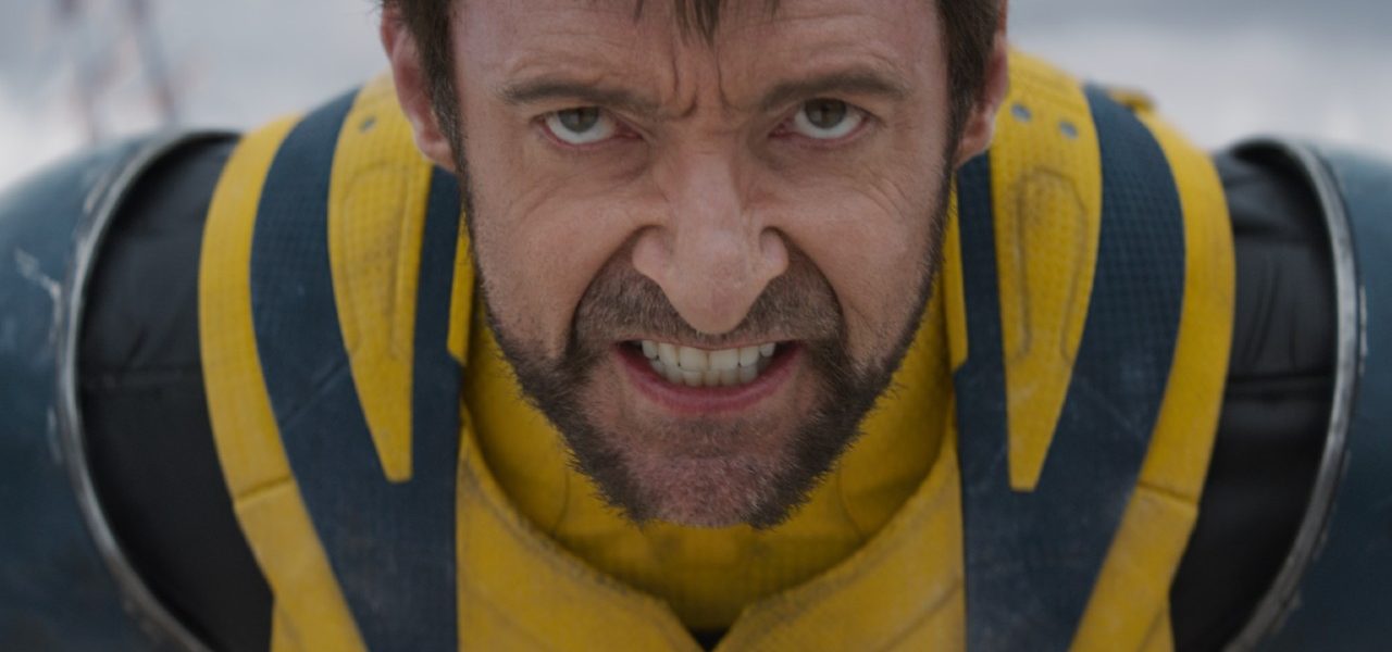 wolverine