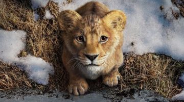 Mufasa: O Rei Leão pode abrir portas para mais filmes sobre o Rei Leão