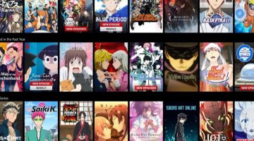 Netflix pode remover um de seus maiores animes originais em breve