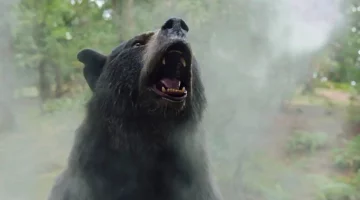 Baseado em OUTRA história real bizarra, derivado de Urso do Pó Branco pode se passar no Brasil