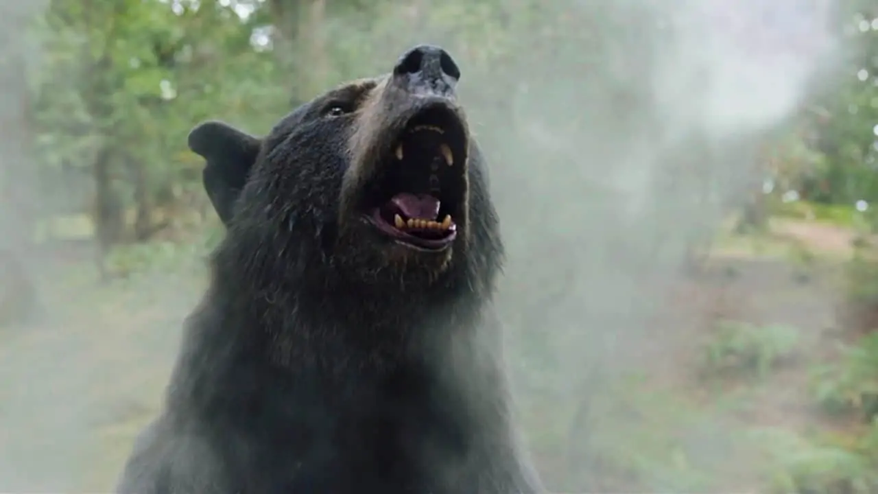 Baseado em OUTRA história real bizarra, derivado de Urso do Pó Branco pode se passar no Brasil