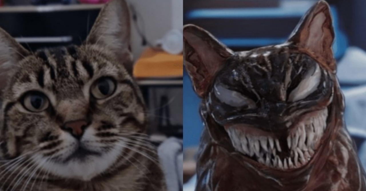 Filtro ‘Venomize seu Pet’ é diversão garantida para a estreia de Venom: A Última Rodada