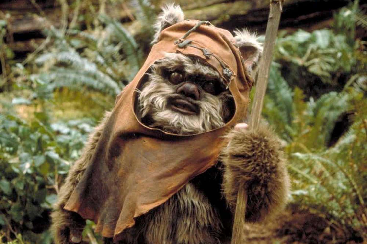 EWOK