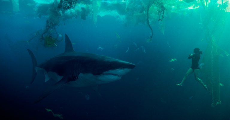 Sob as Águas do Sena Netflix Under Paris