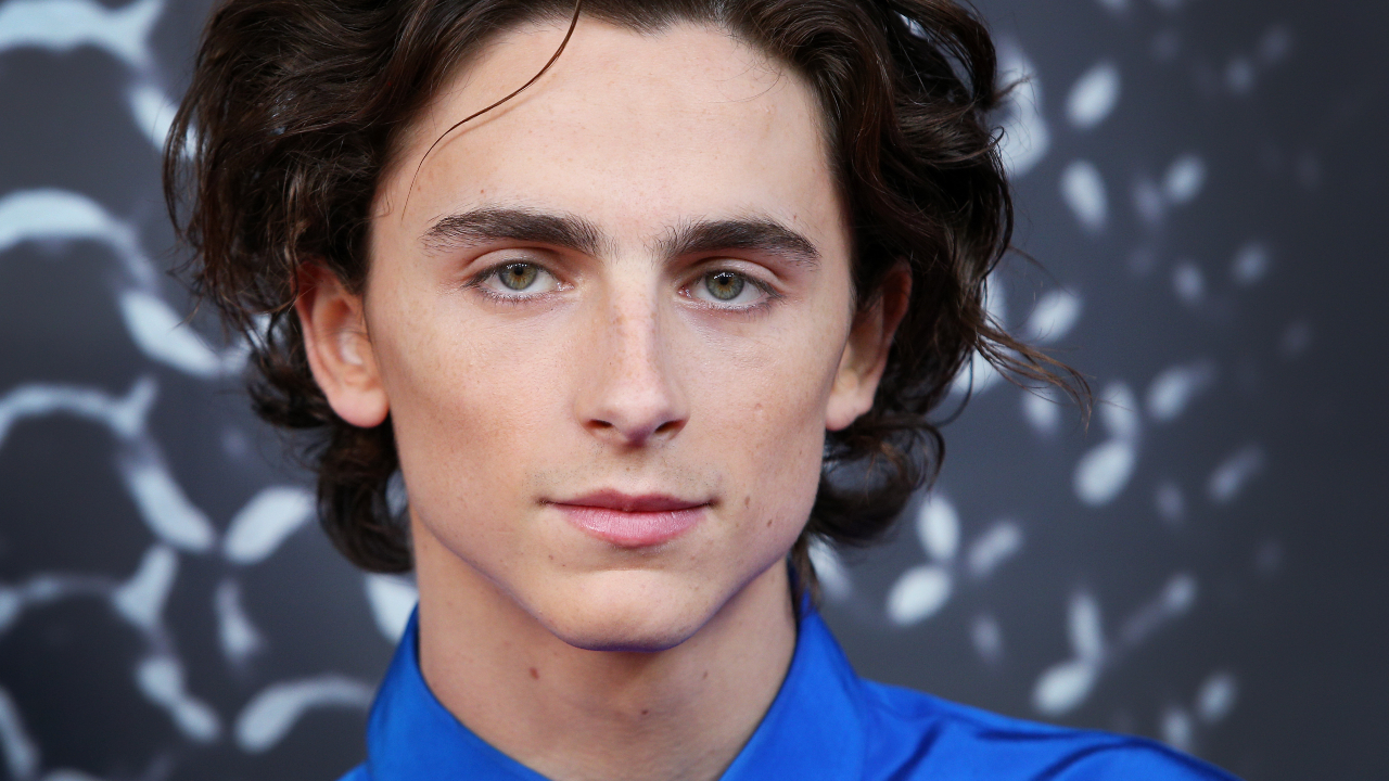 Timothée Chalamet se oferece para pagar multa de concurso de sósias, mas organizador recusa