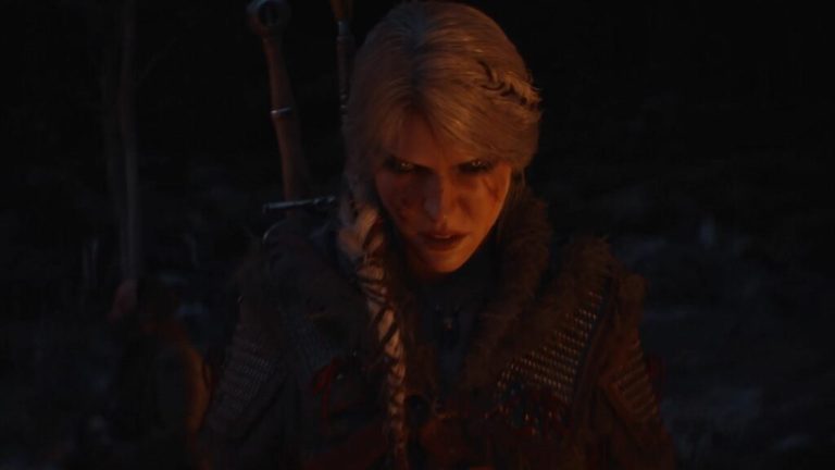 the witcher 4