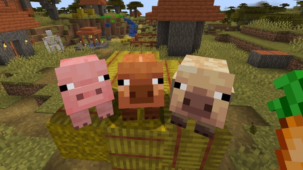 Minecraft recebe novas variantes de porcos após 15 anos