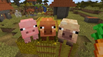 Minecraft recebe novas variantes de porcos após 15 anos