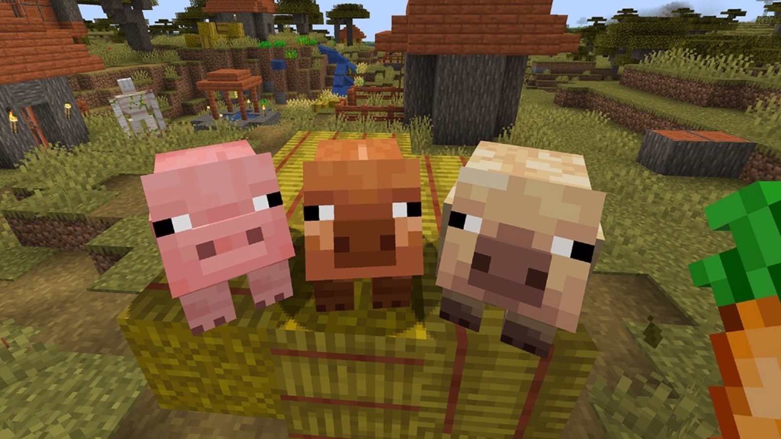 Minecraft recebe novas variantes de porcos após 15 anos