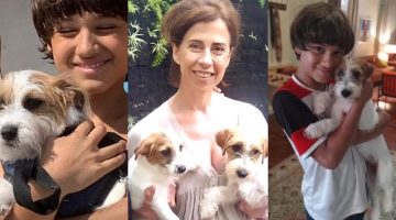 Ainda Estou Aqui: cães que interpretaram Pimpão vencem o ‘Oscar dos animais’