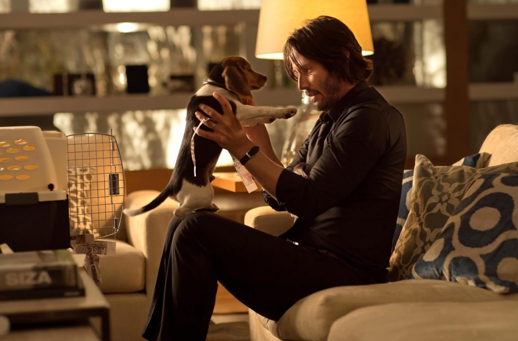 John Wick e um cachorrinho