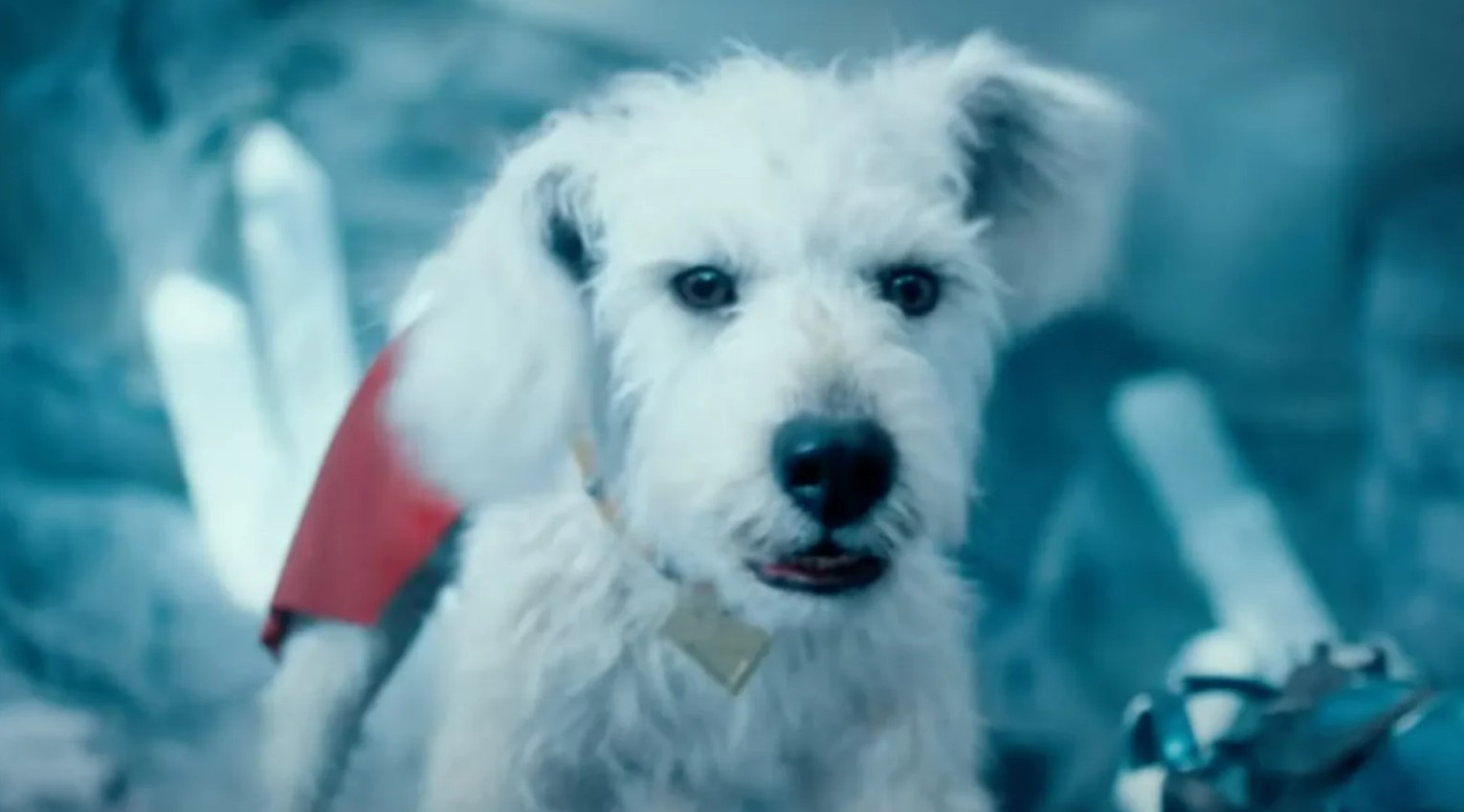 ‘Superman’: cena deletada mostraria estrago causado pelo cãozinho Krypto