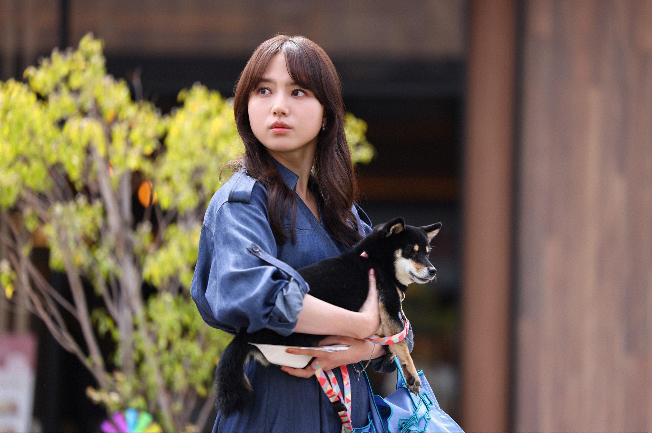 Coleção de títulos japoneses chega à HBO Max este mês!