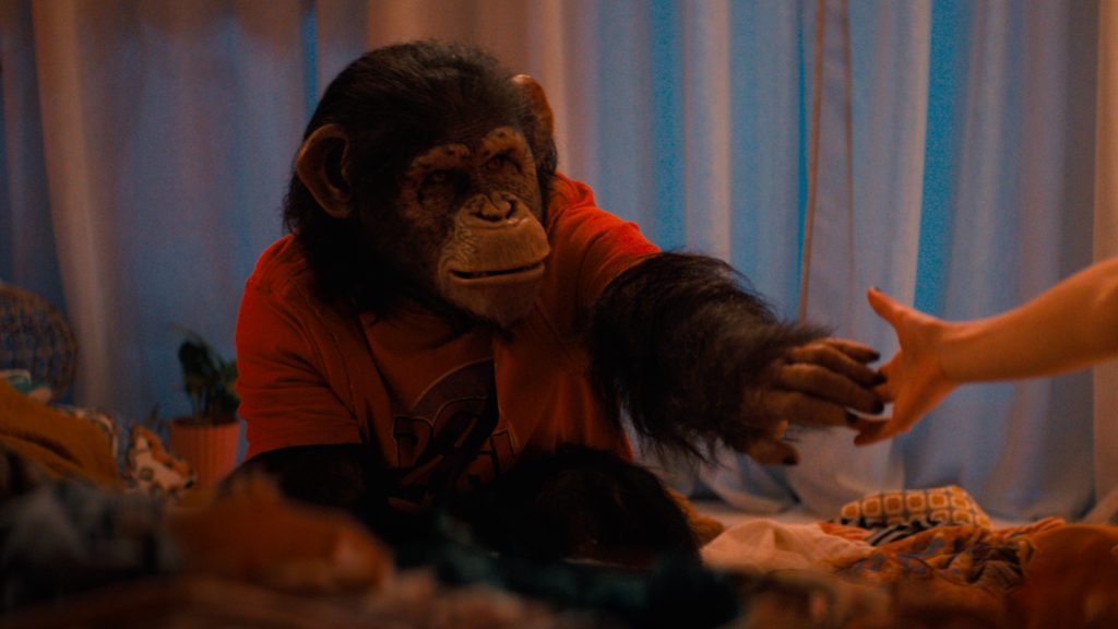 O Primata: Terror com “chimpanzé assassino” é brutal e divertido; vale a pena assistir?