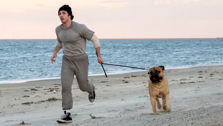 I Play Rocky: filme sobre papel icônico de Stallone ganha data de estreia