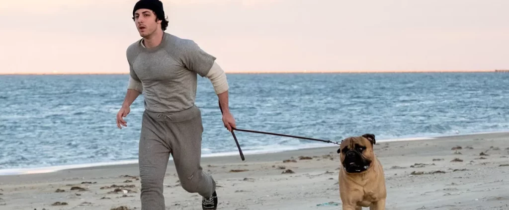 I Play Rocky, filme sobre Stallone e seu icônico papel ganha trailer; confira