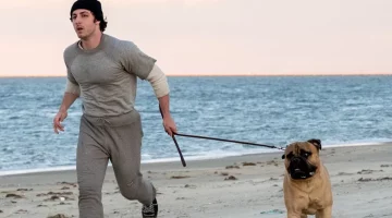 I Play Rocky, filme sobre Stallone e seu icônico papel ganha trailer; confira